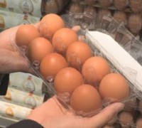 소비자물가 4개월 연속 0%대, 농축산물 물가는 10%상승